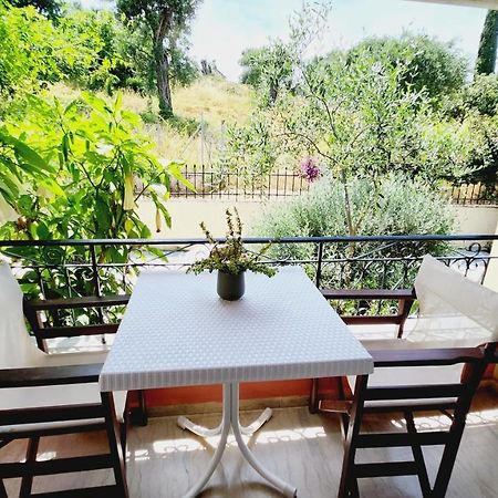 Aristea Studios Κάτω Κορακιάνα Εξωτερικό φωτογραφία