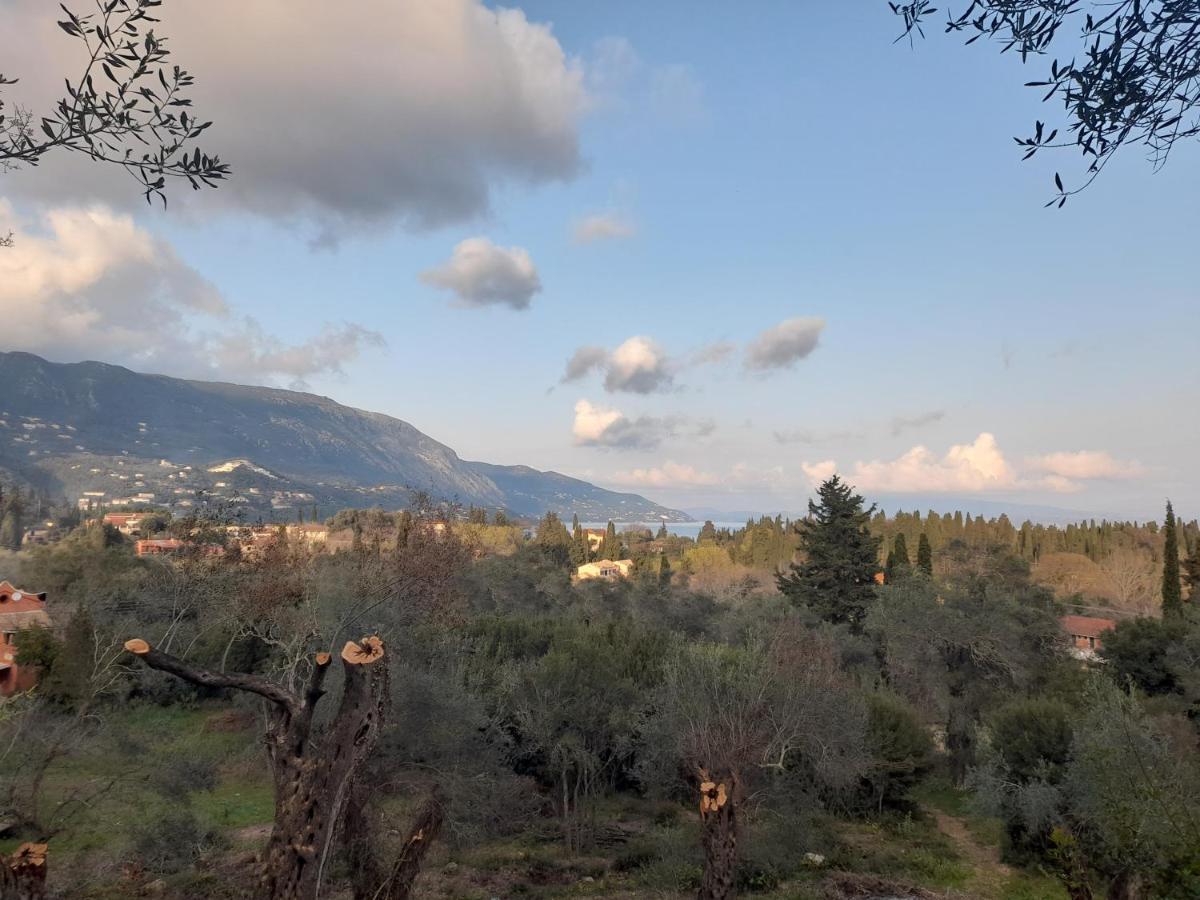 Aristea Studios Κάτω Κορακιάνα Εξωτερικό φωτογραφία