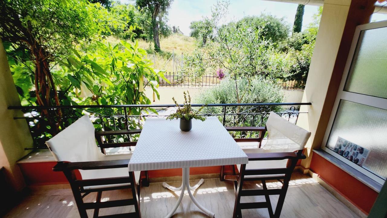 Aristea Studios Κάτω Κορακιάνα Εξωτερικό φωτογραφία