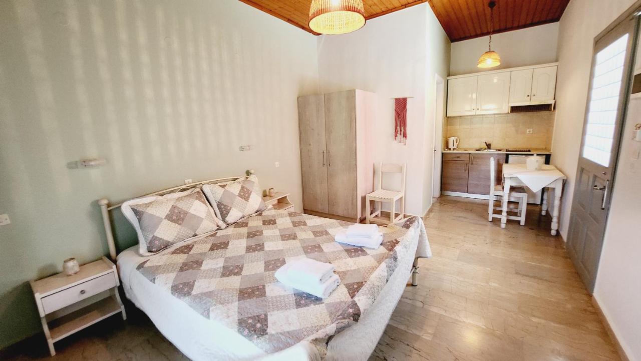 Aristea Studios Κάτω Κορακιάνα Εξωτερικό φωτογραφία