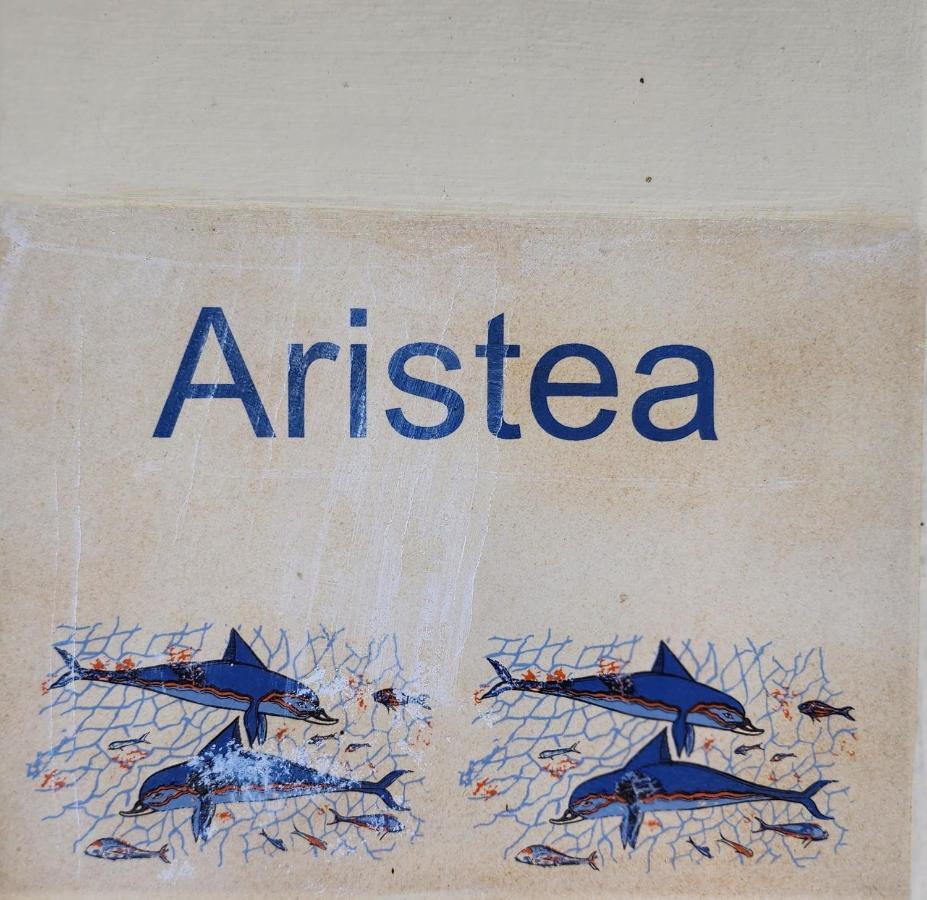 Aristea Studios Κάτω Κορακιάνα Εξωτερικό φωτογραφία