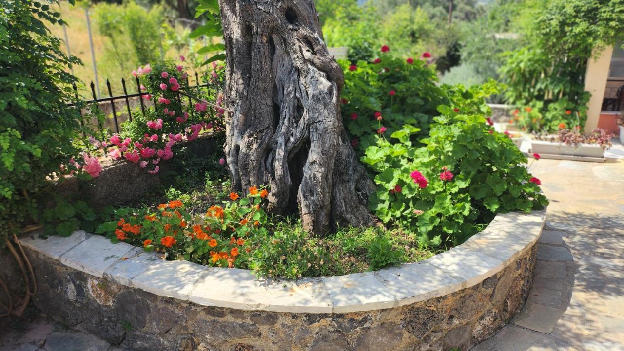 Aristea Studios Κάτω Κορακιάνα Εξωτερικό φωτογραφία