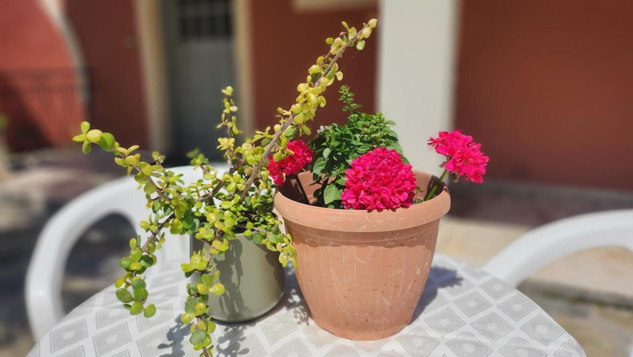 Aristea Studios Κάτω Κορακιάνα Εξωτερικό φωτογραφία