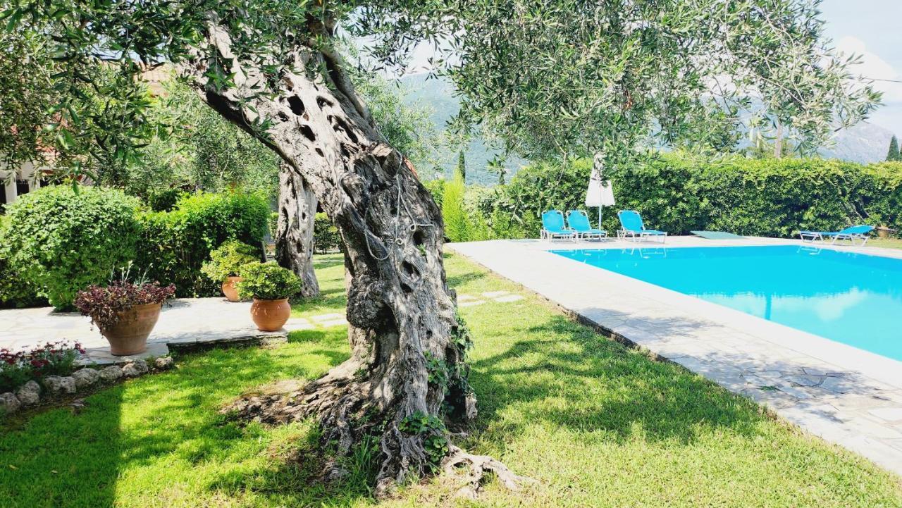 Aristea Studios Κάτω Κορακιάνα Εξωτερικό φωτογραφία