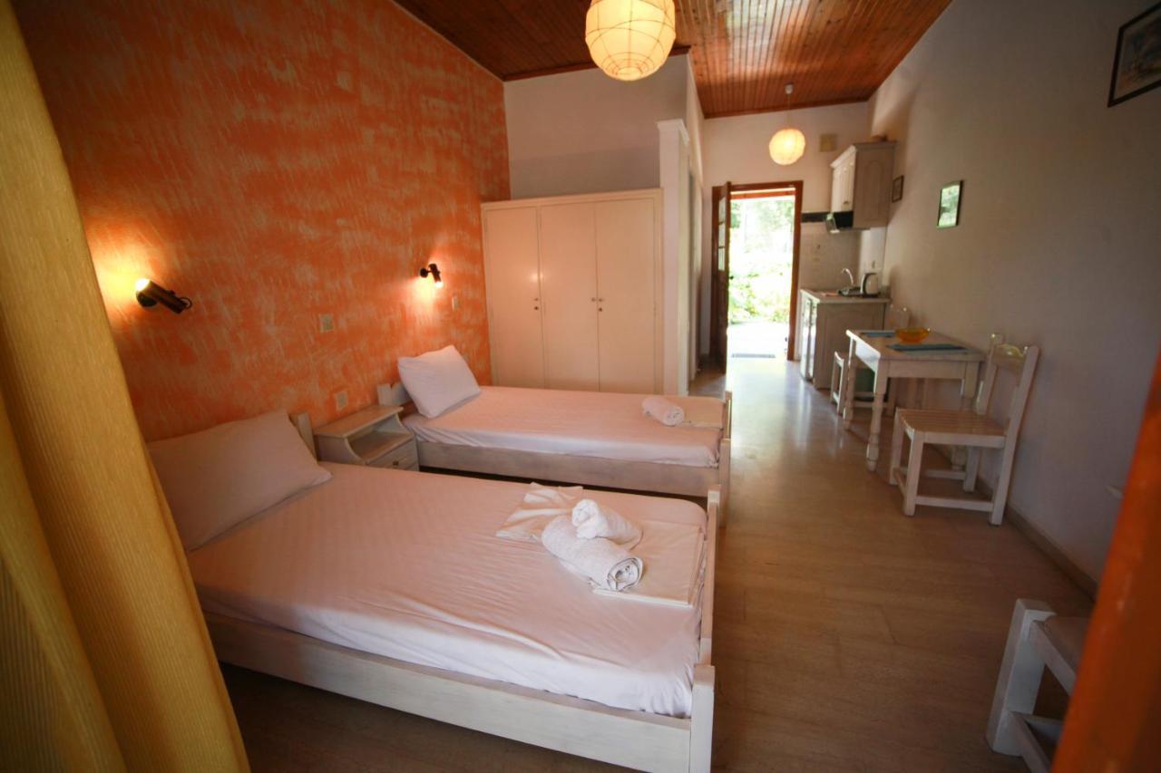 Aristea Studios Κάτω Κορακιάνα Εξωτερικό φωτογραφία